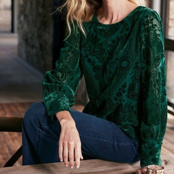 Soft Surroundings Vanetta Velvet Top size 2X Blouse Dark Green Burnout Pullover - Picture 1 of 16